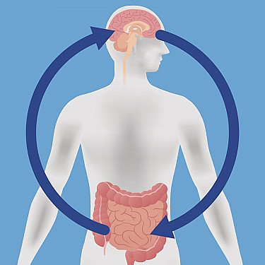 Probiotics may help boost mood and cognitive function featured image