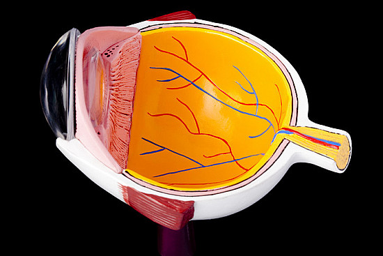 Corneal transplants becoming more common featured image