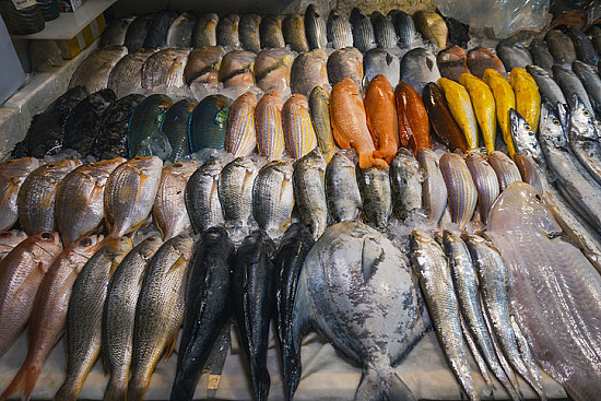Could eating fish increase your risk of cancer? featured image