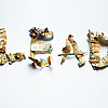blog image 1