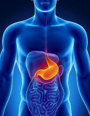 H. pylori, a true stomach “bug”: Who should doctors test and treat? featured image