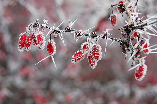 Frozen (the cold will bother you…) featured image