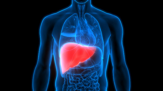 Fatty liver disease: What it is and what to do about it featured image